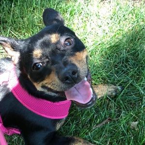 Meet your Posher, Andre